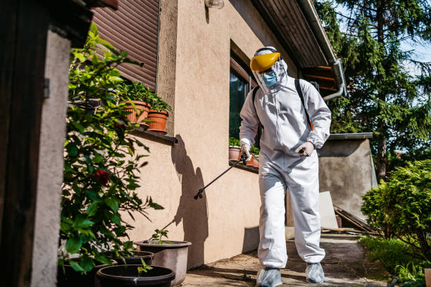 Best Local Pest Control Services  in Rector, AR
