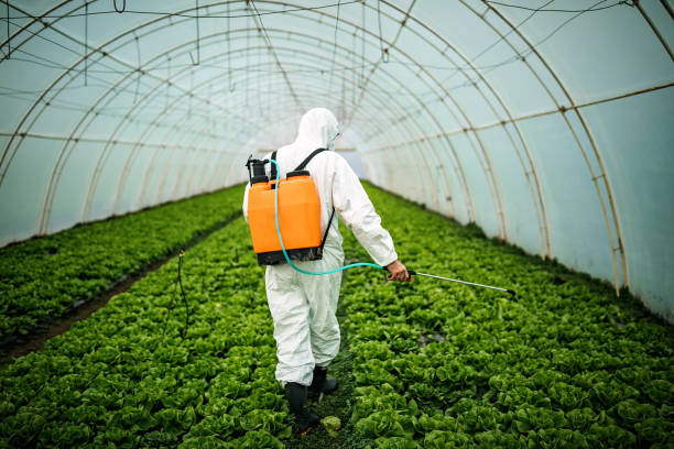 Best Best Pest Control Companies  in Rector, AR
