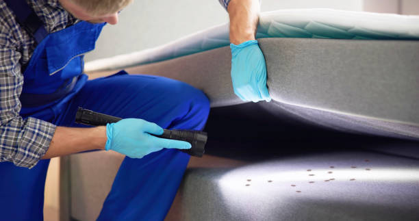 Best Bed Bug Extermination  in Rector, AR