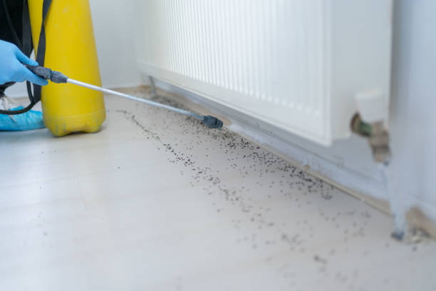 Pest Prevention Services in Rector, AR