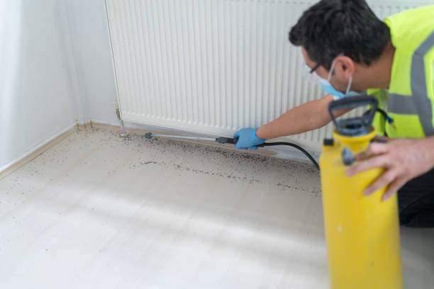 Professional Pest Control in Rector, AR